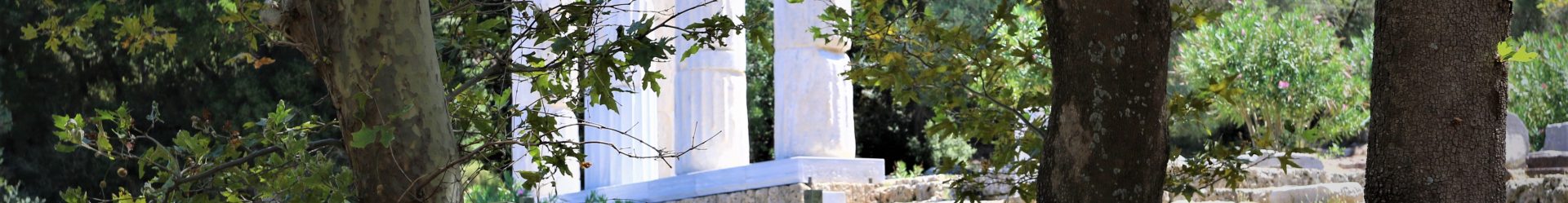 Câteodată nu vedem pădurea din cauza copacilor: erori de gândire
